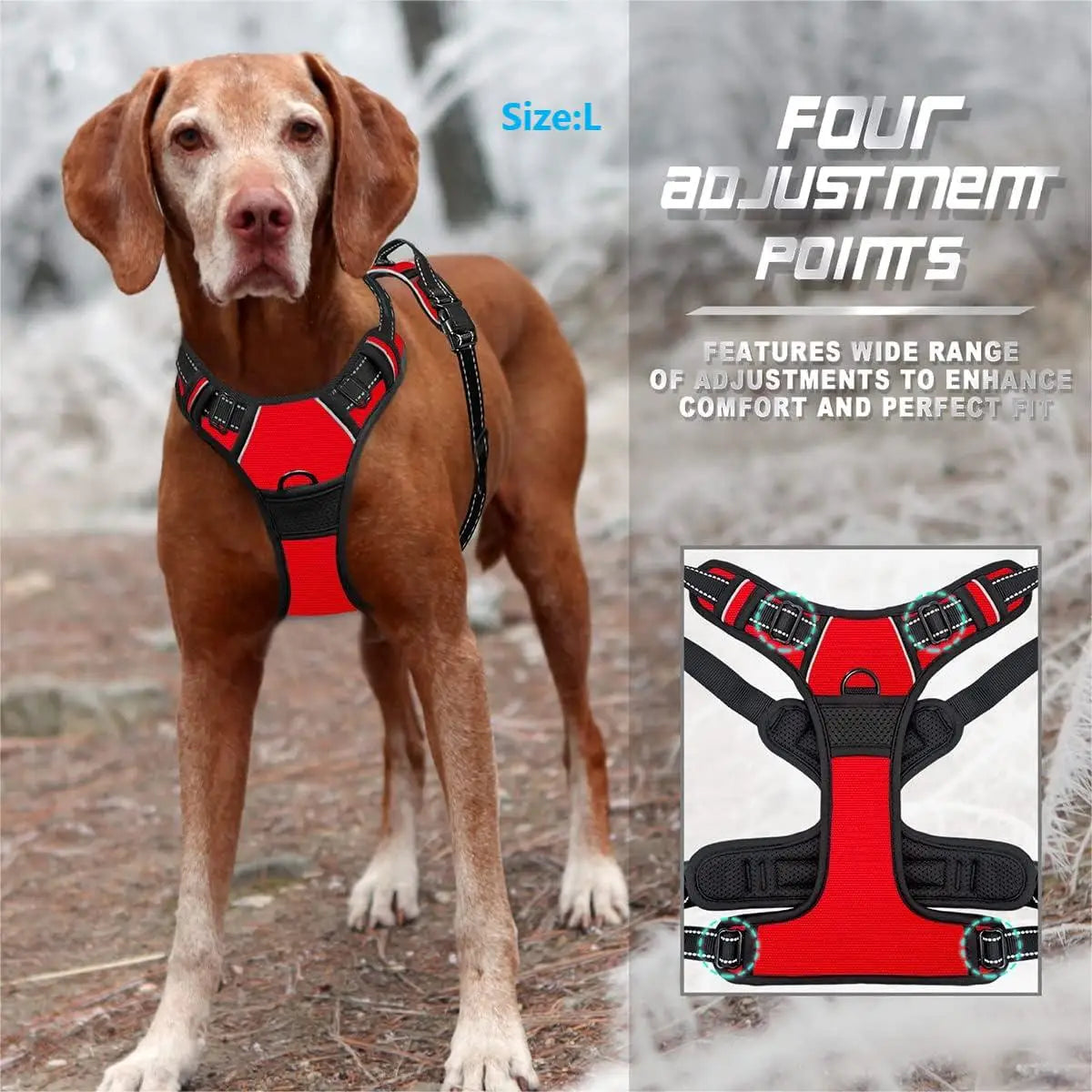 Harnais rouge porté par un chien