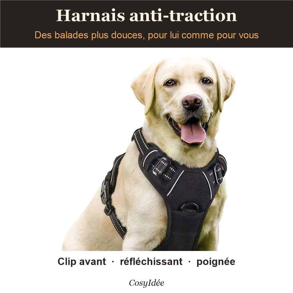 Harnais anti-traction noir porté par un labrador