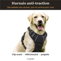 Harnais anti-traction noir porté par un labrador